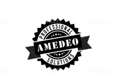 Avatar for Amedeo Solutions