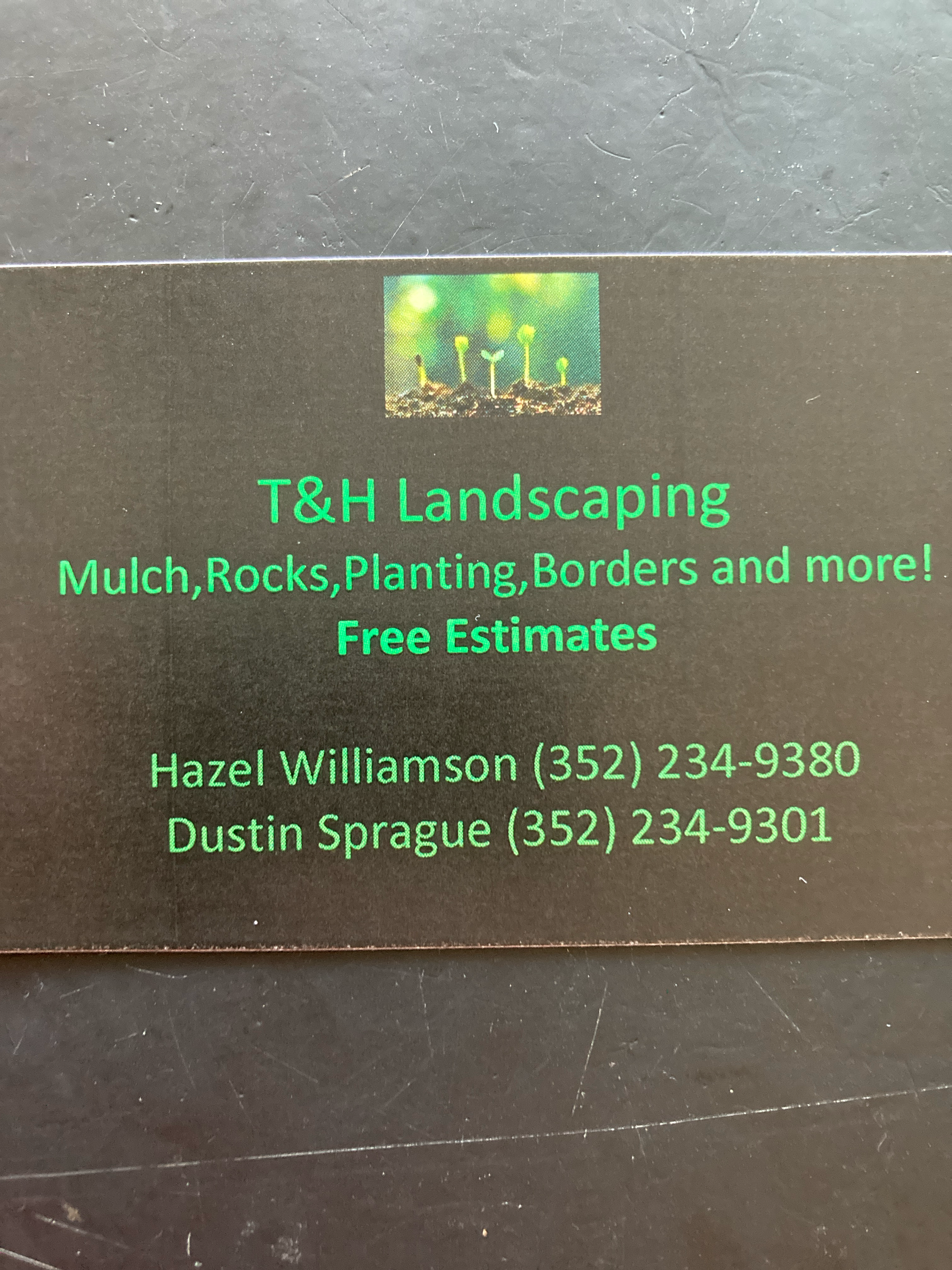 D and H Landscaping logo