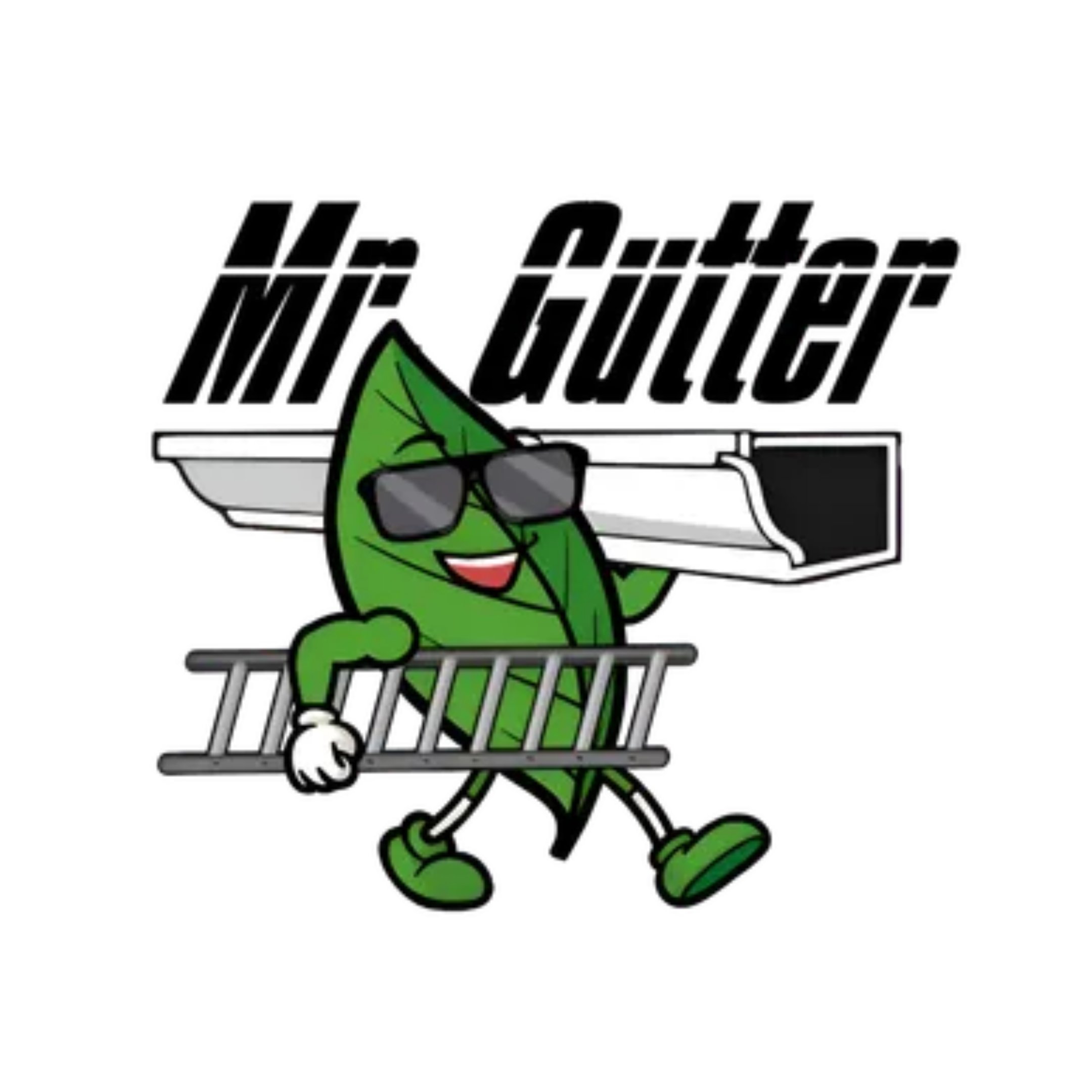Logo for Mr. Gutter, Inc.
