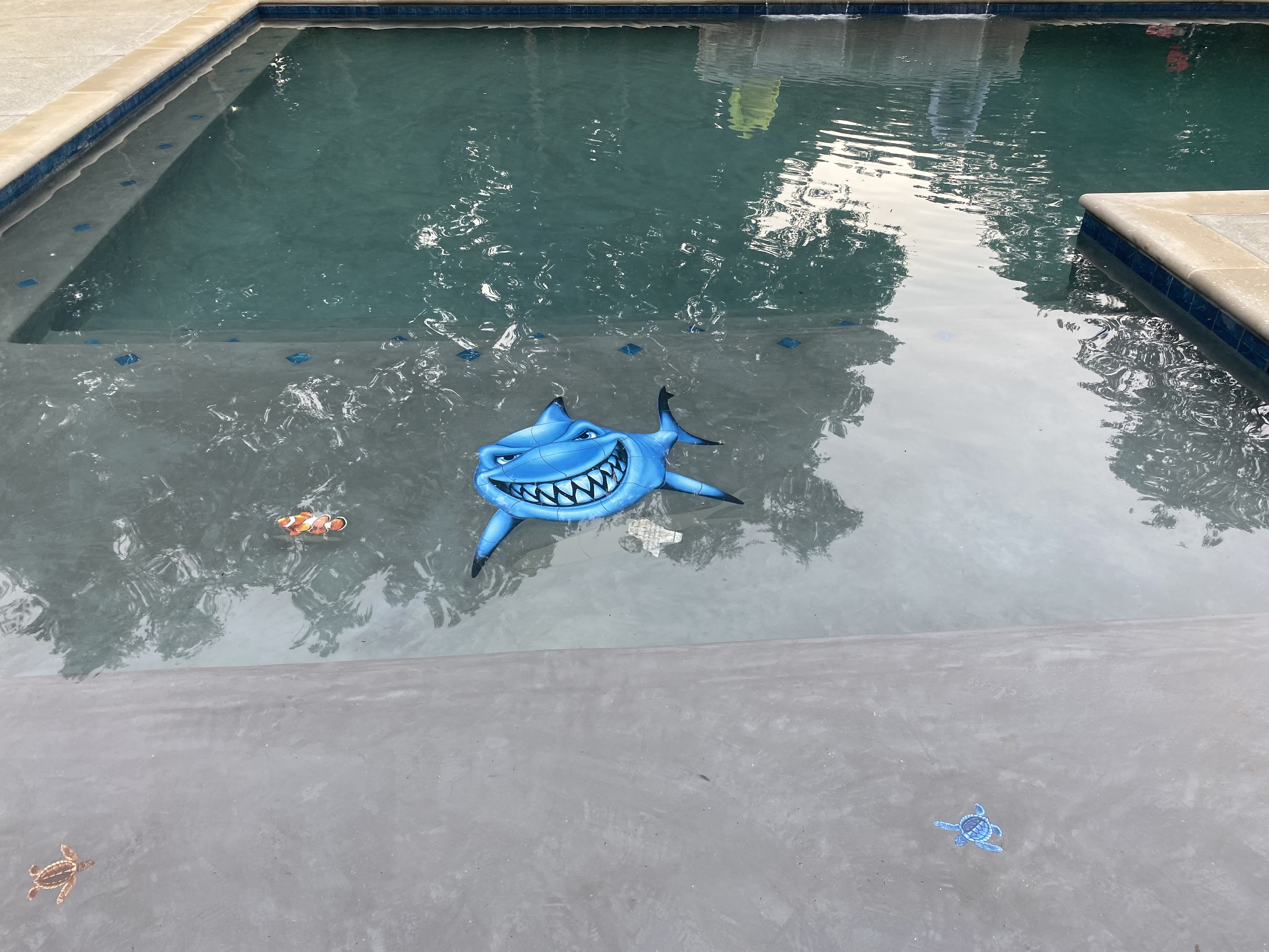 Avatar for Southaven Pools LLC