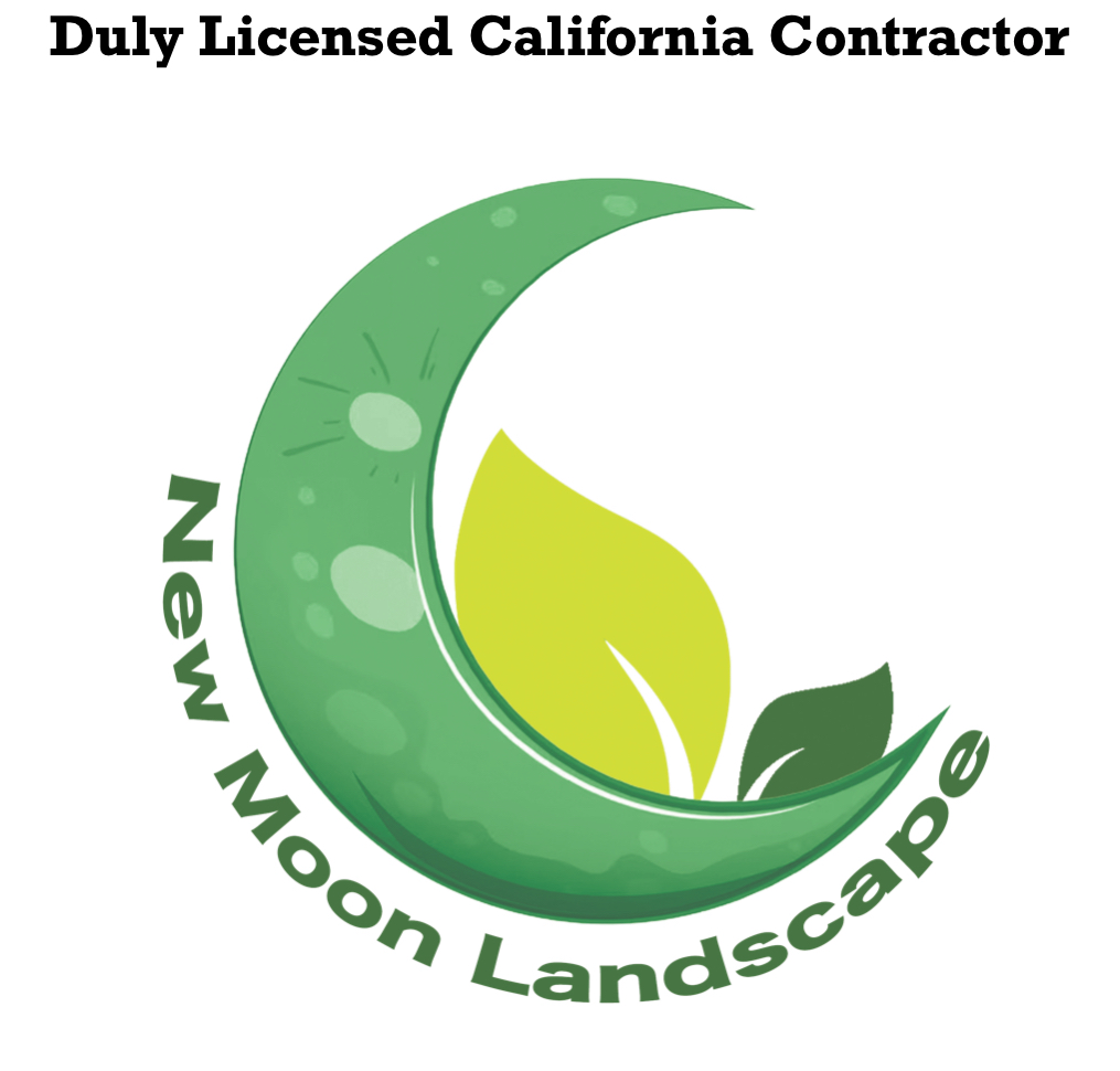 Avatar for New Moon Landscape