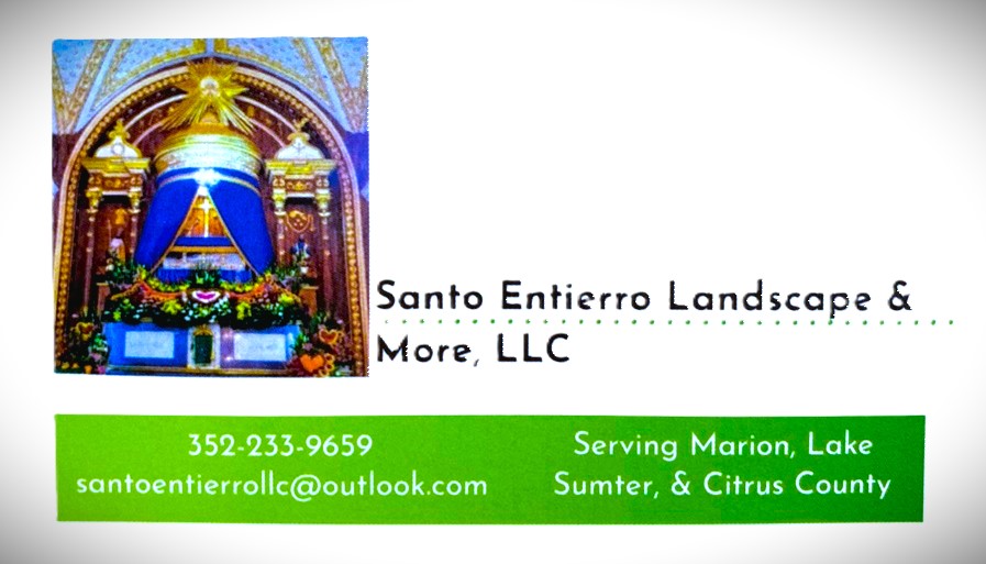 Santo Entierro Landscape & More, LLC logo