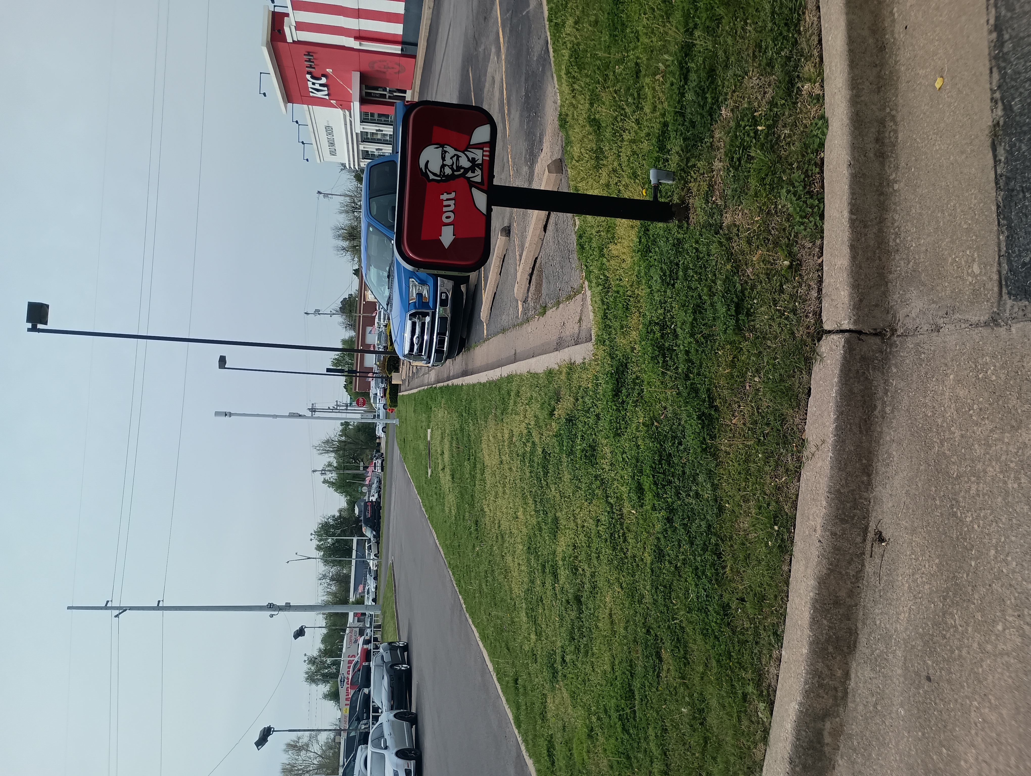 Avatar for From the roots lawn service