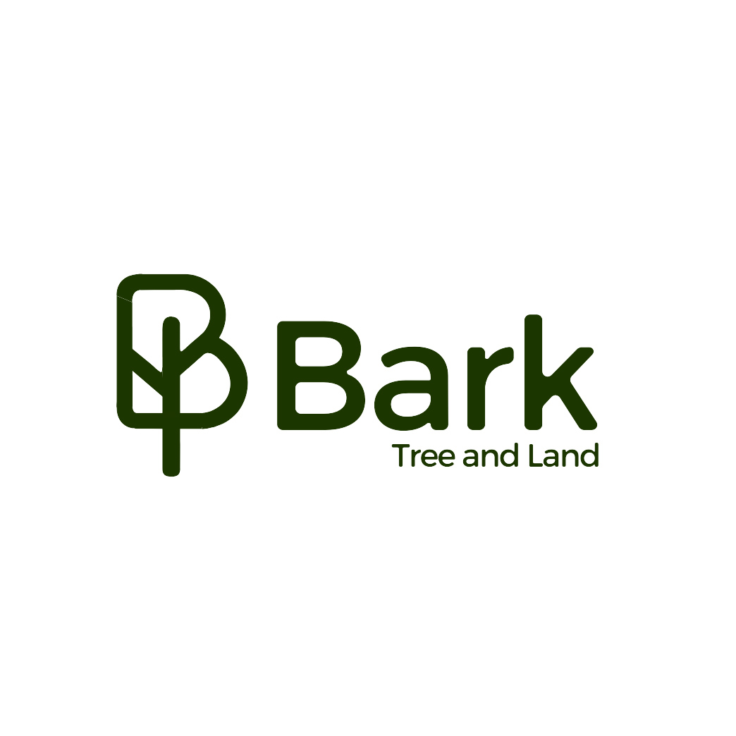 Avatar for Bark Tree and Land