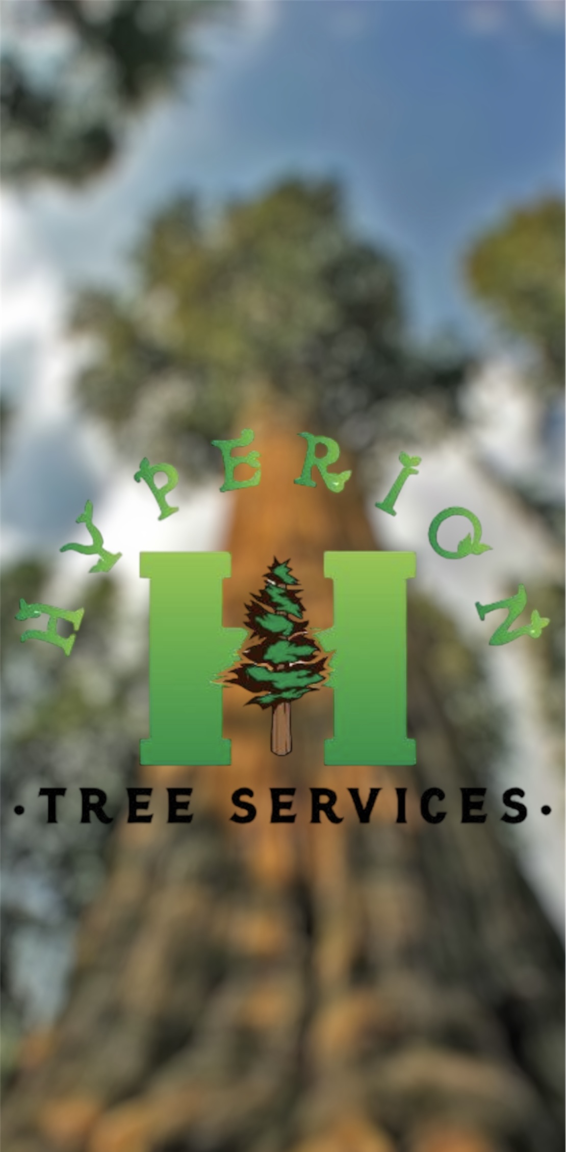 HYPERION TREE SERVICE logo
