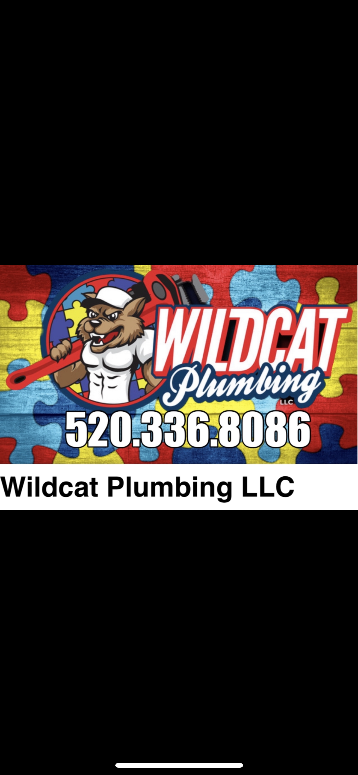 Avatar for Wildcat Plumbing