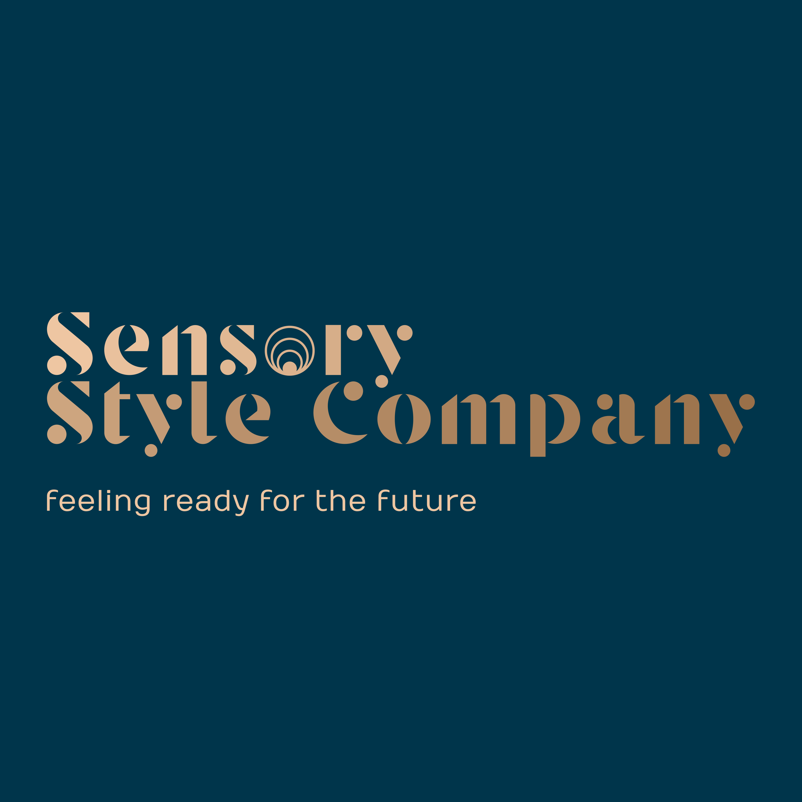 Avatar for Sensory Style Company