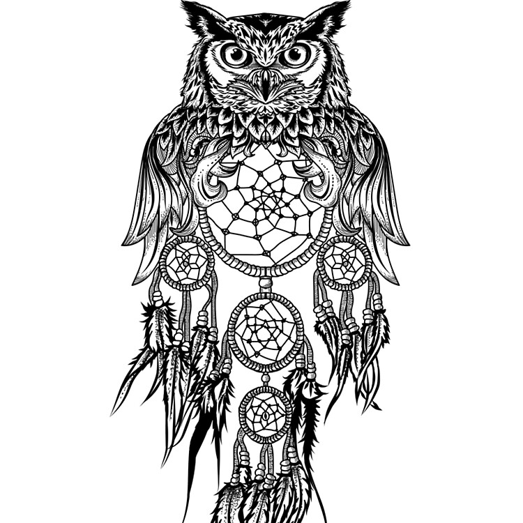 Dream Catchers logo