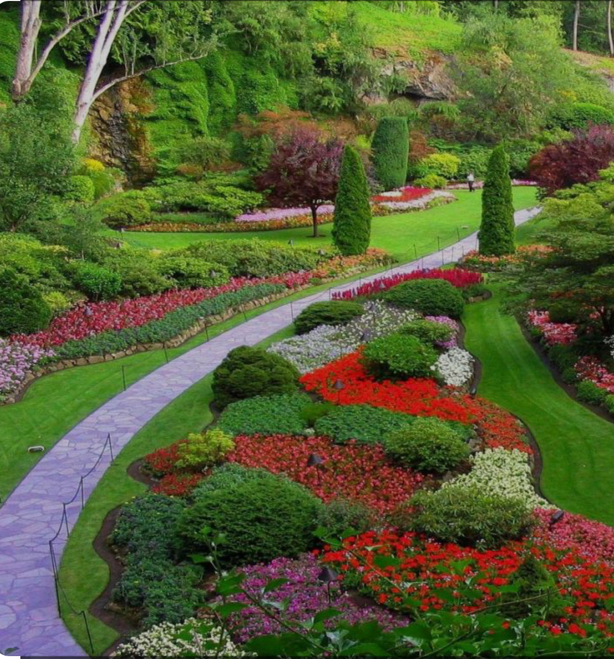 EcoScapes Landscaping and Design LLC. logo