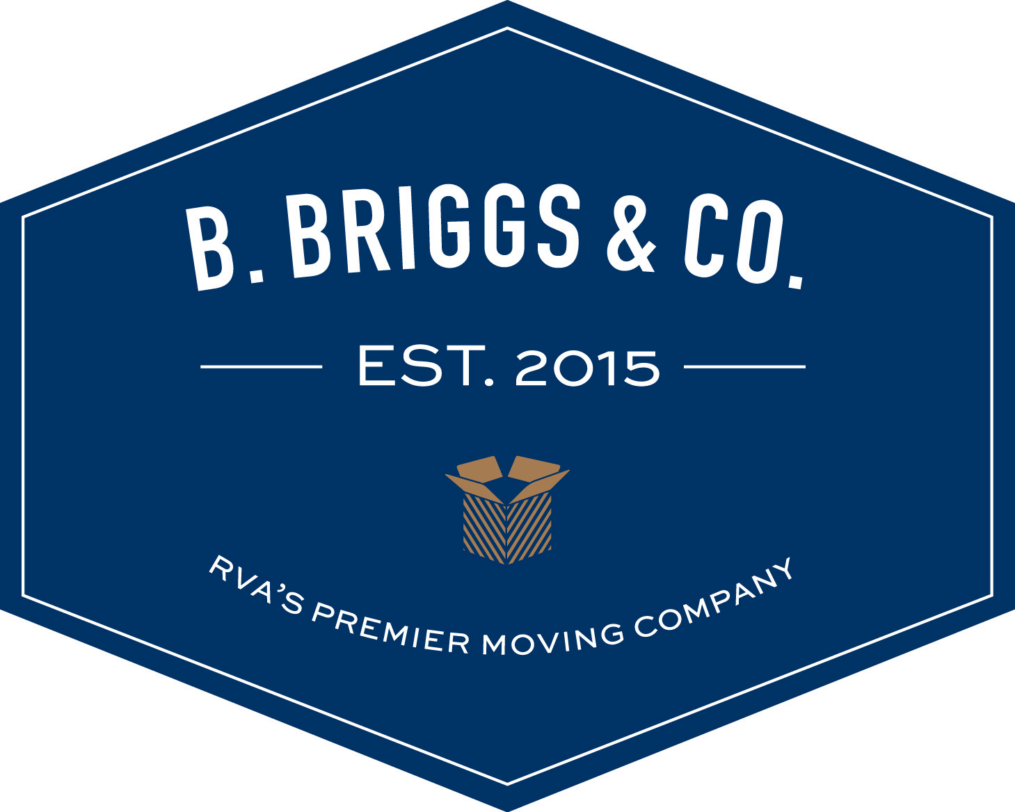 B Briggs & Company LLC logo