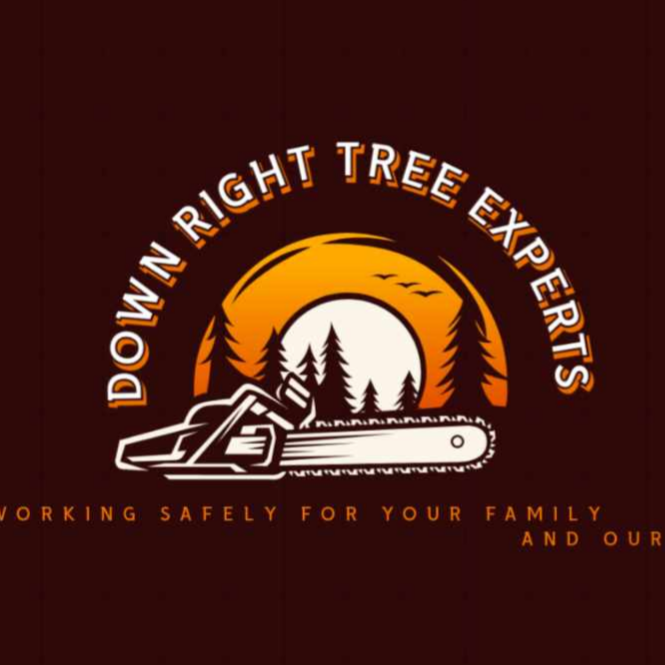 Avatar for Down Right Tree Experts