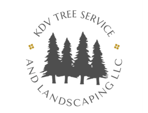 Logo for KDV