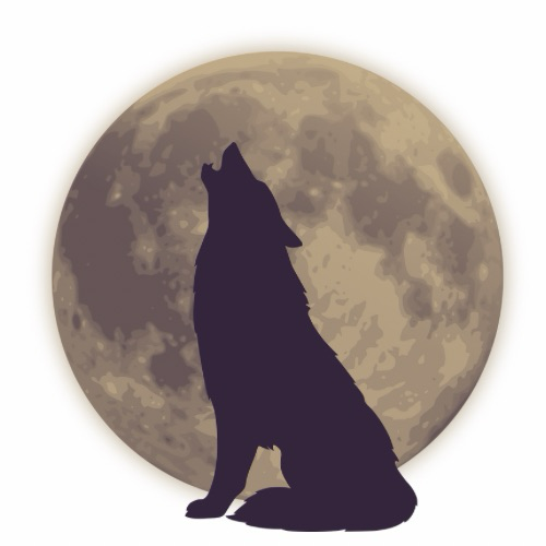 Moonlit Management logo