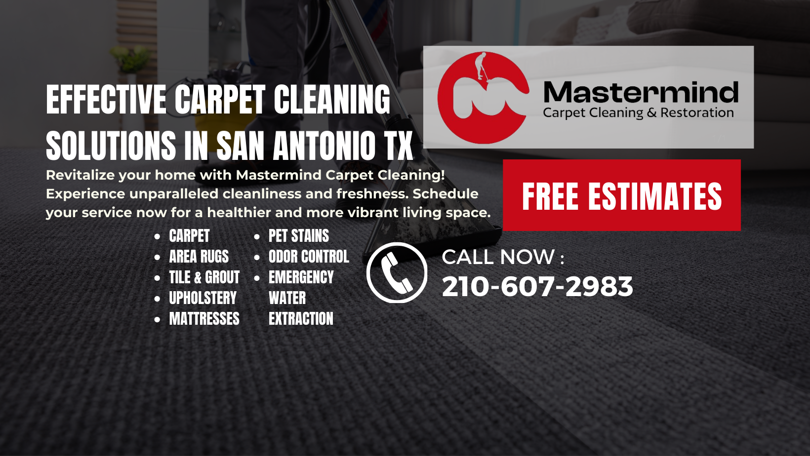 Avatar for Mastermind Carpet Cleaning