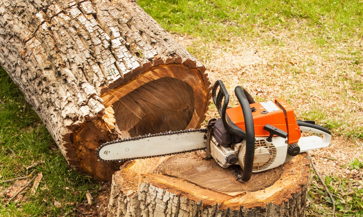 All Season Tree Service LLC logo
