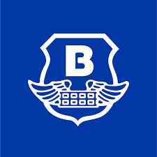 Brinks Security and Automation logo