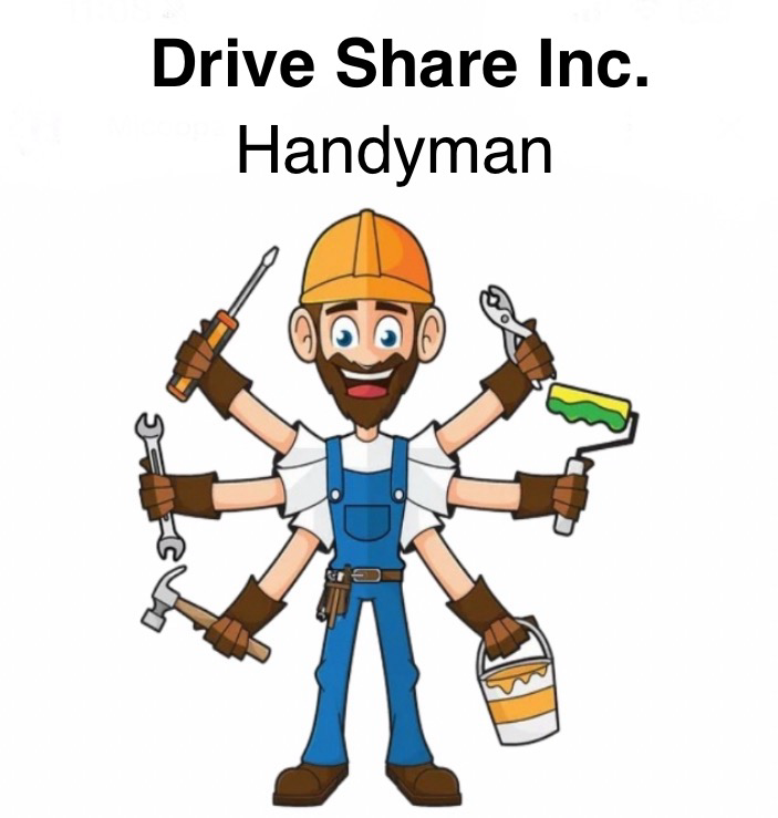 Drive Share Inc. logo