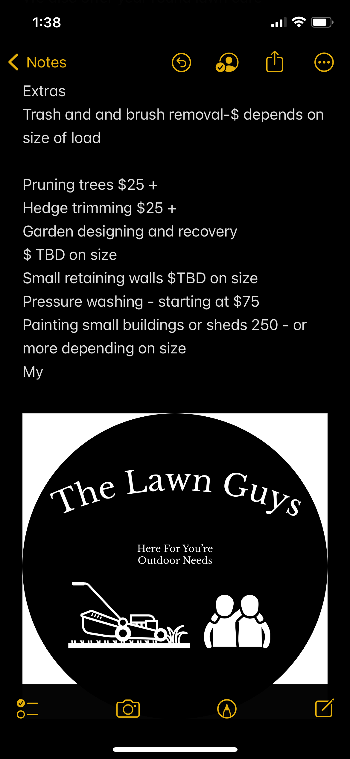 The Lawn Guys logo