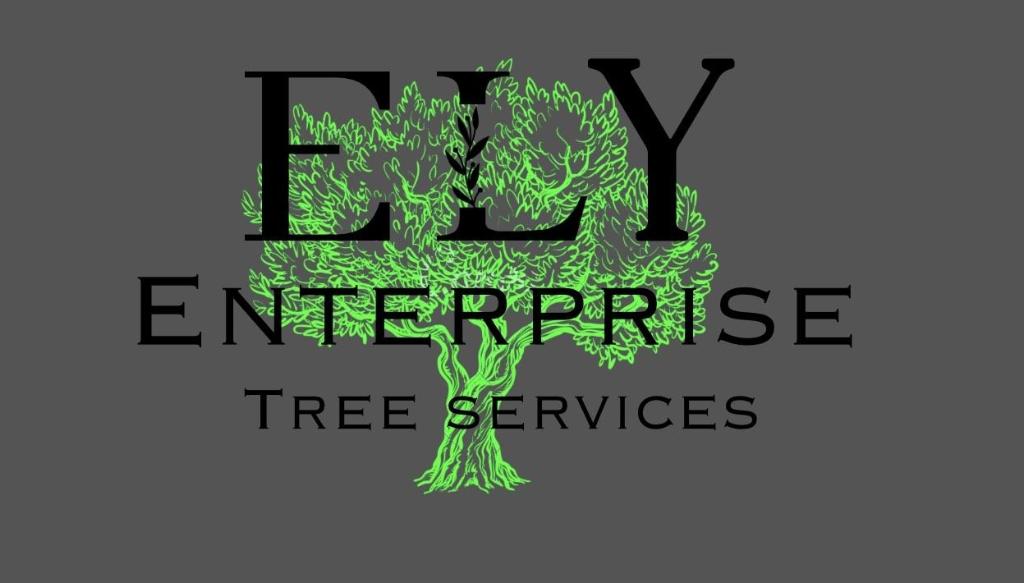 Avatar for Ely Enterprise