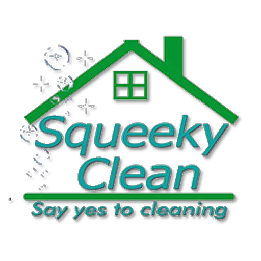 Squeeky clean logo