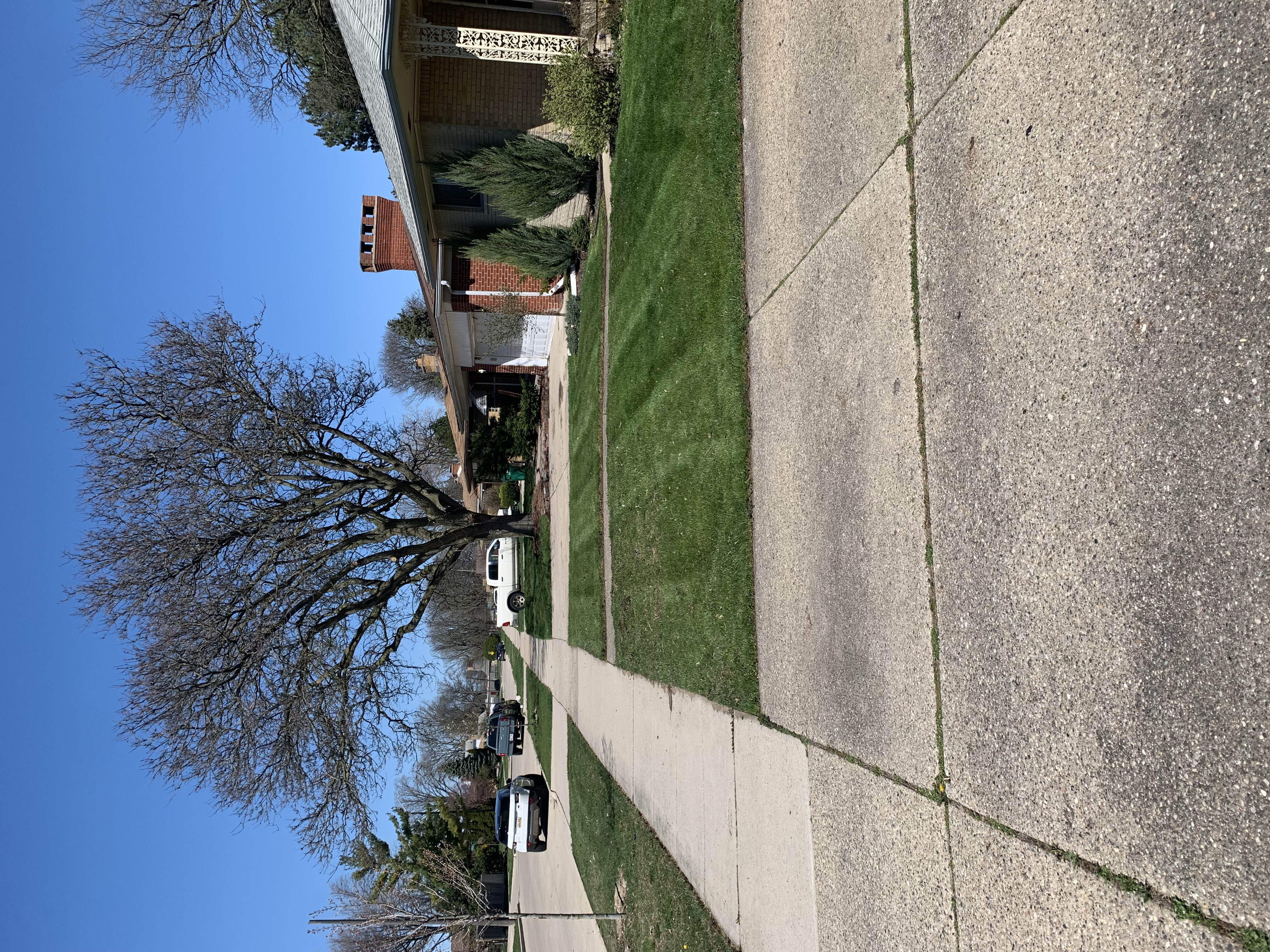 Logo for Vista Ventures landscaping