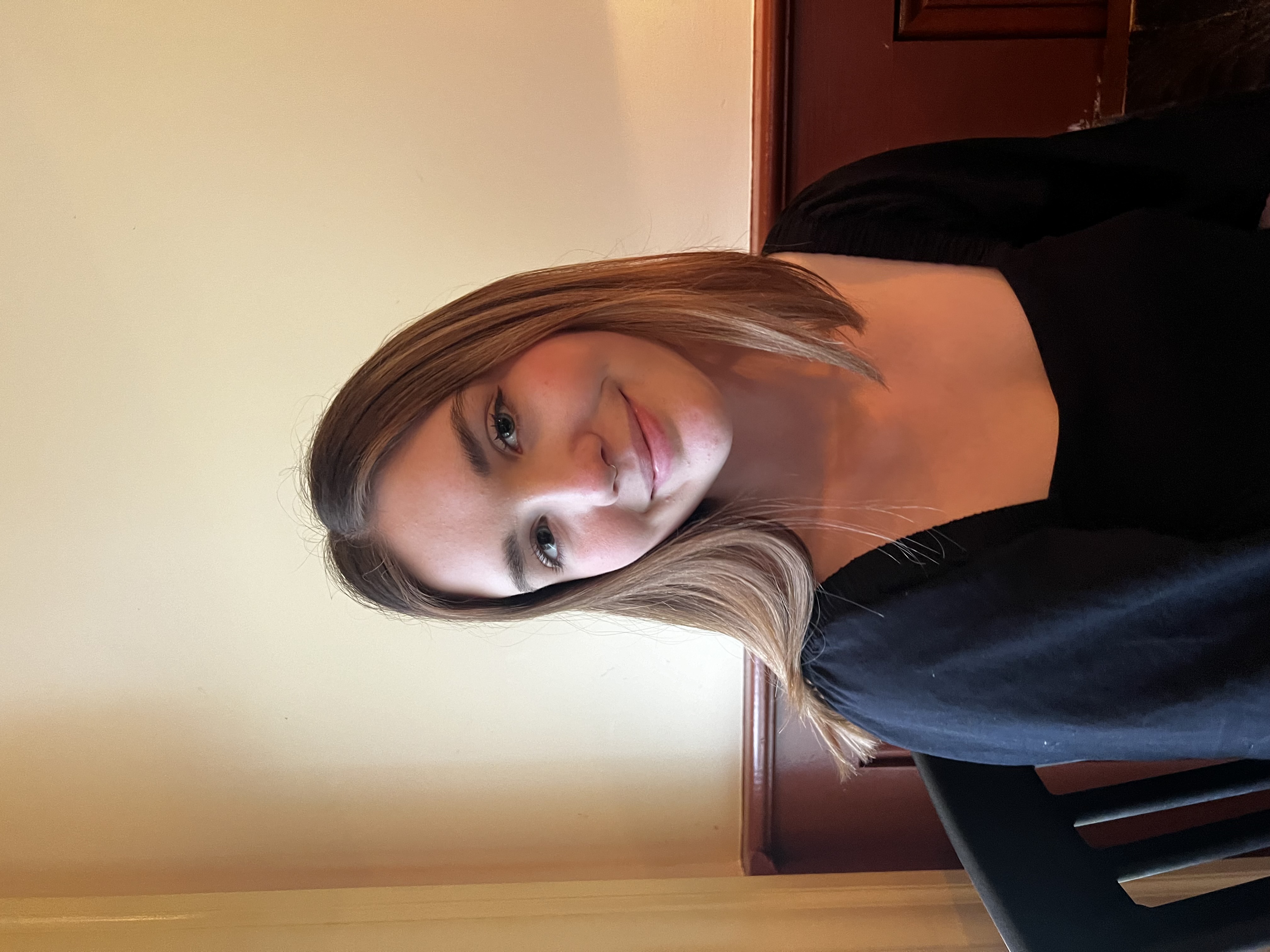 Lydia Bourdeau Cleanibg logo