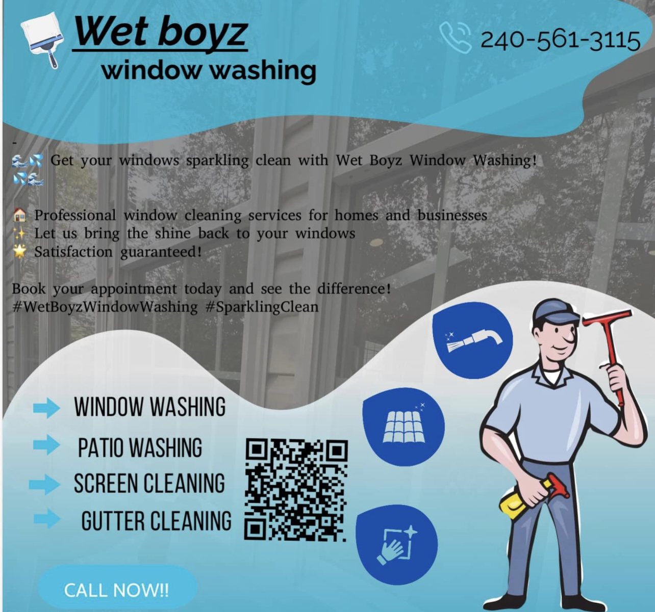 Wet Boyz window washing logo