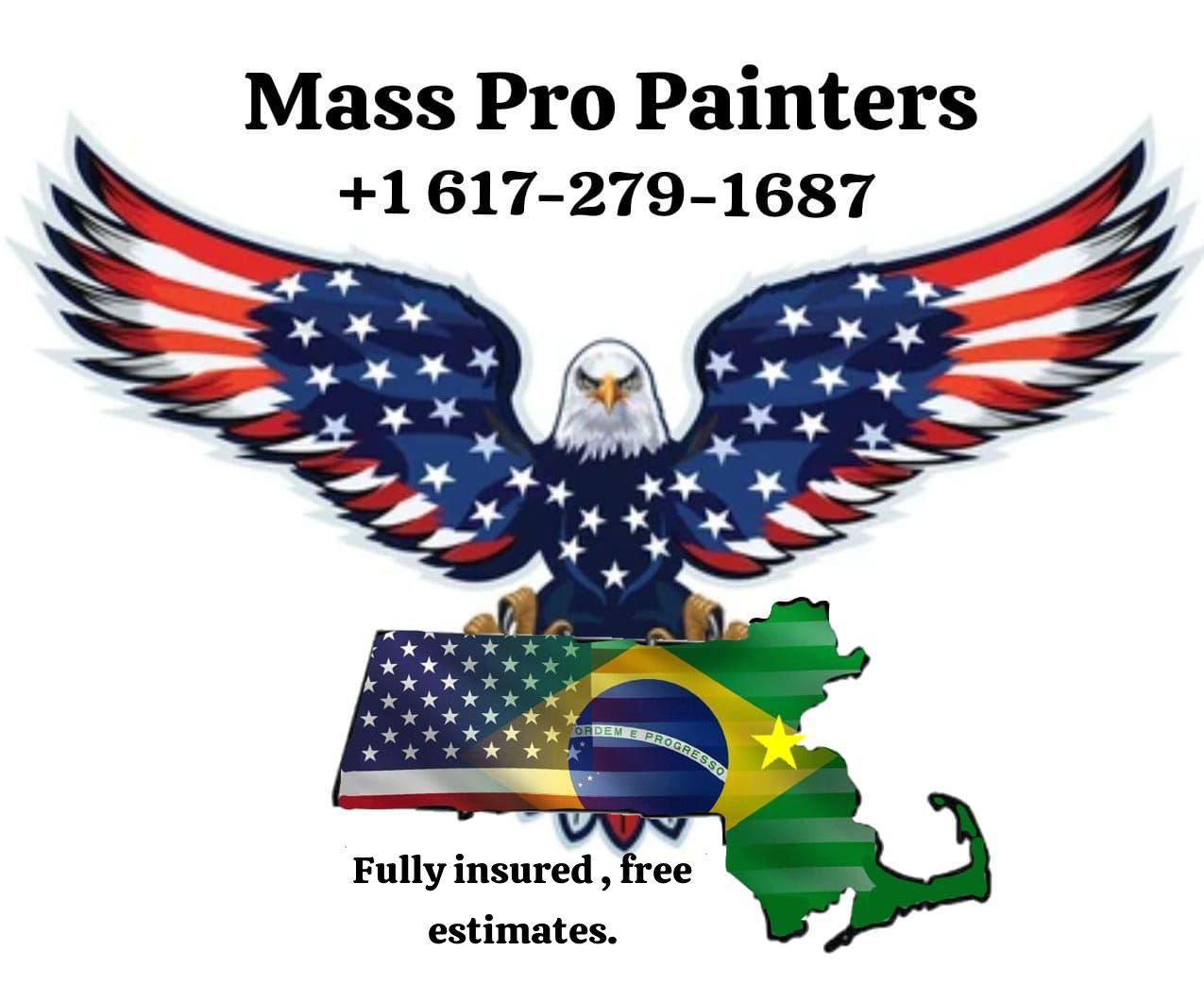Mass pro painters logo