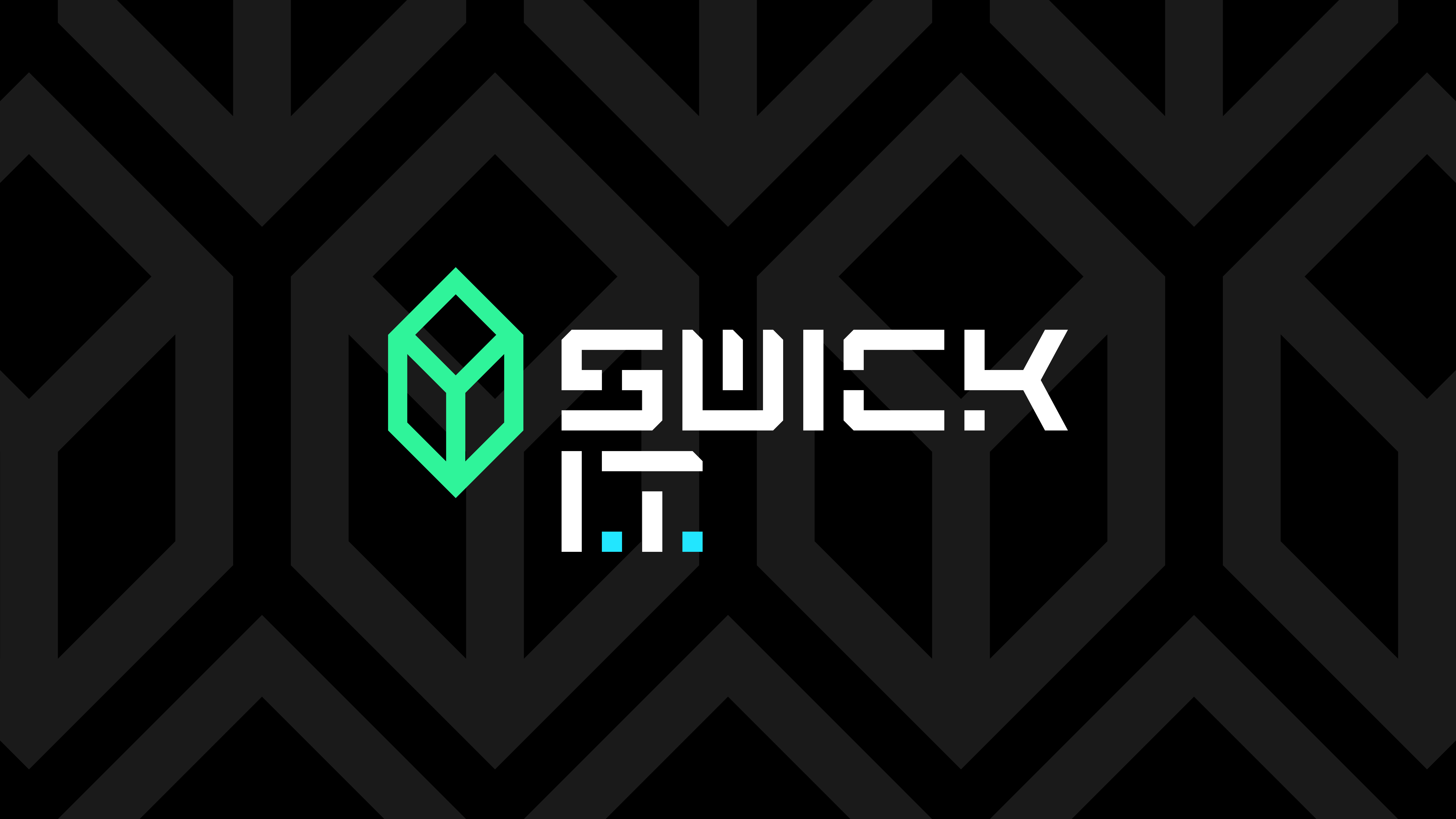 Swick IT LLC logo