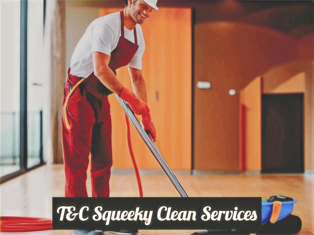 T&C Squeeky Clean Services logo