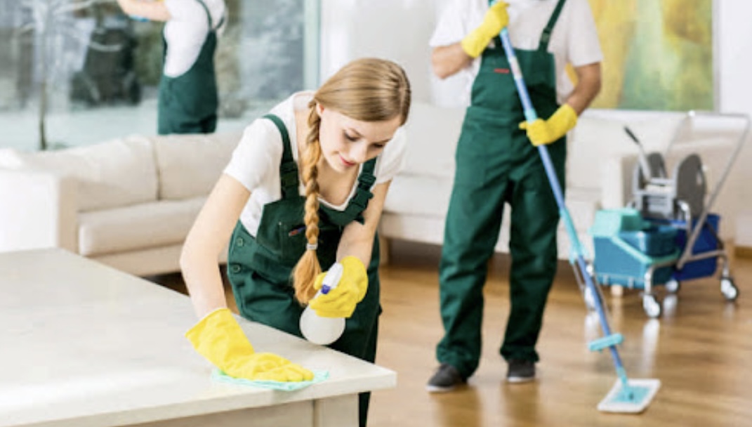 Avatar for Irina's House cleaning
