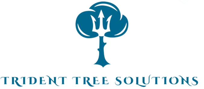 Trident Tree Solutions logo