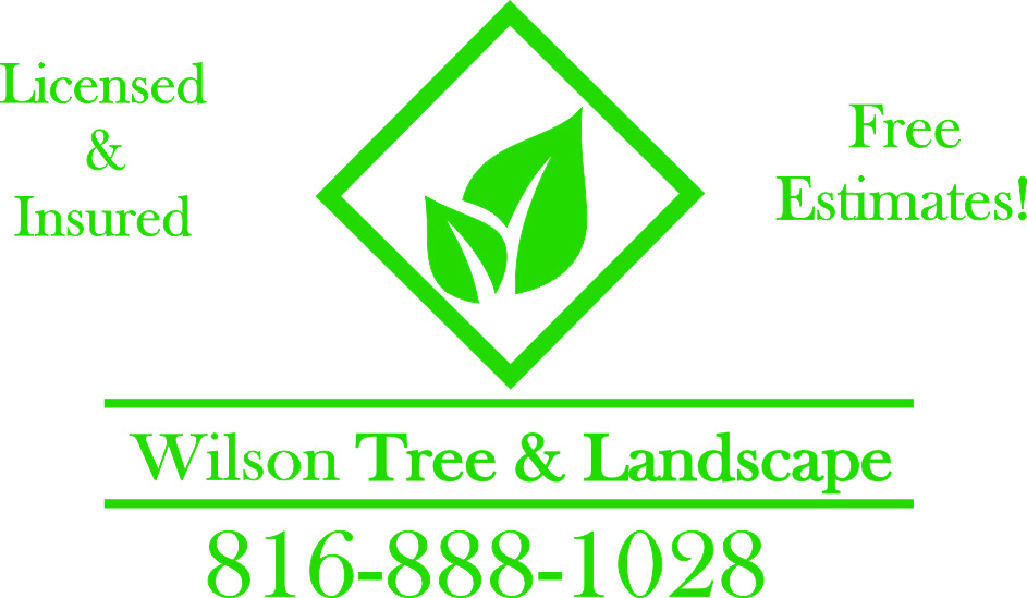 Wilson Tree And Landscape logo