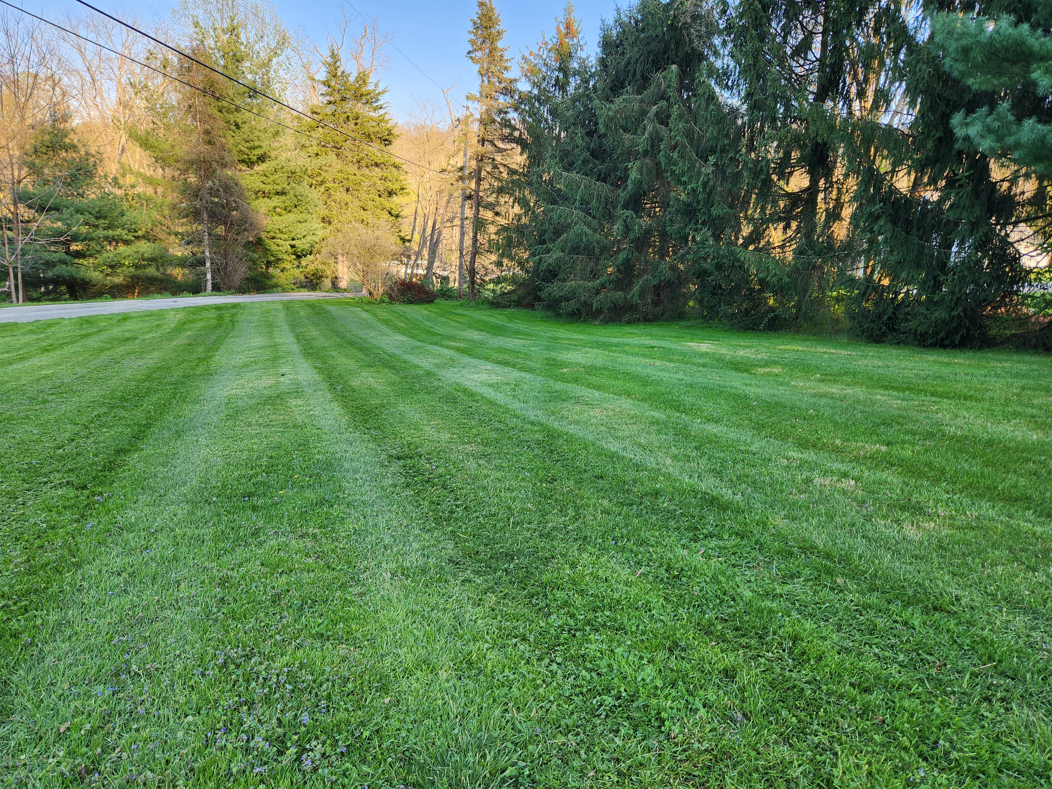 Nate's Lawn Care Services logo