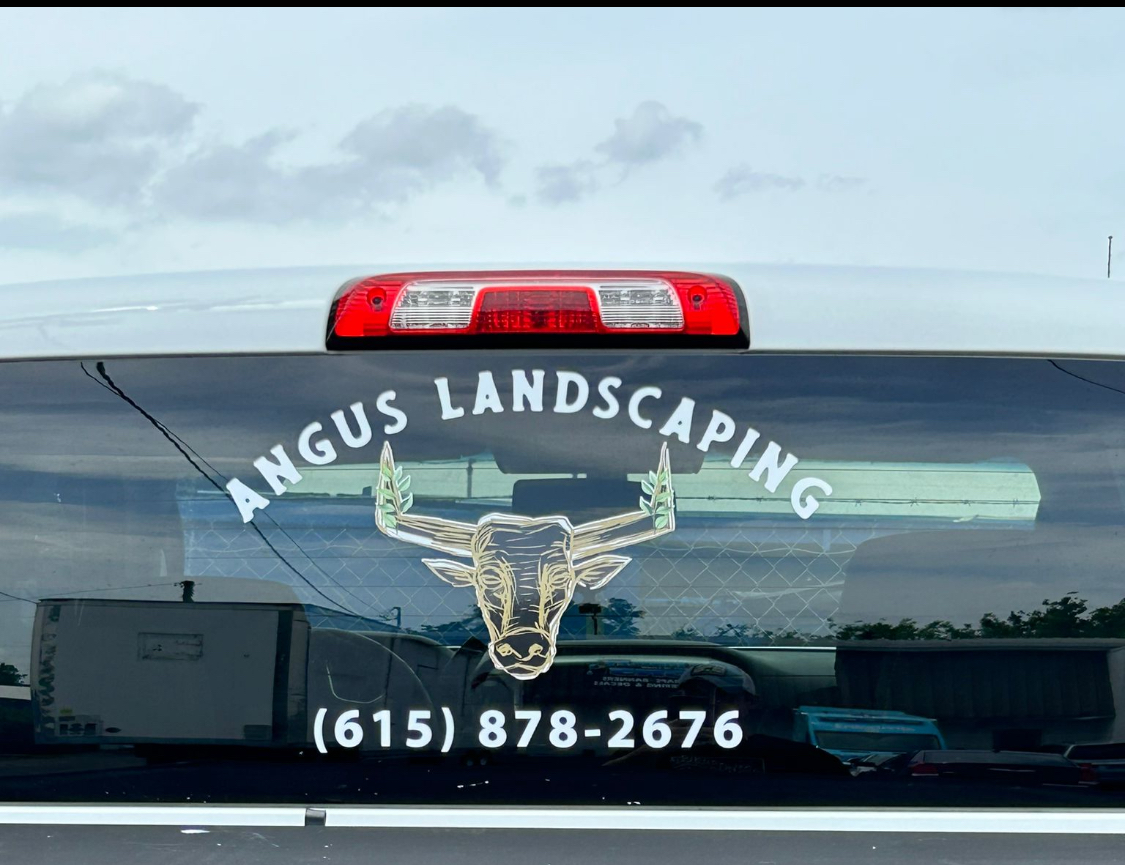 Avatar for Angus Landscaping