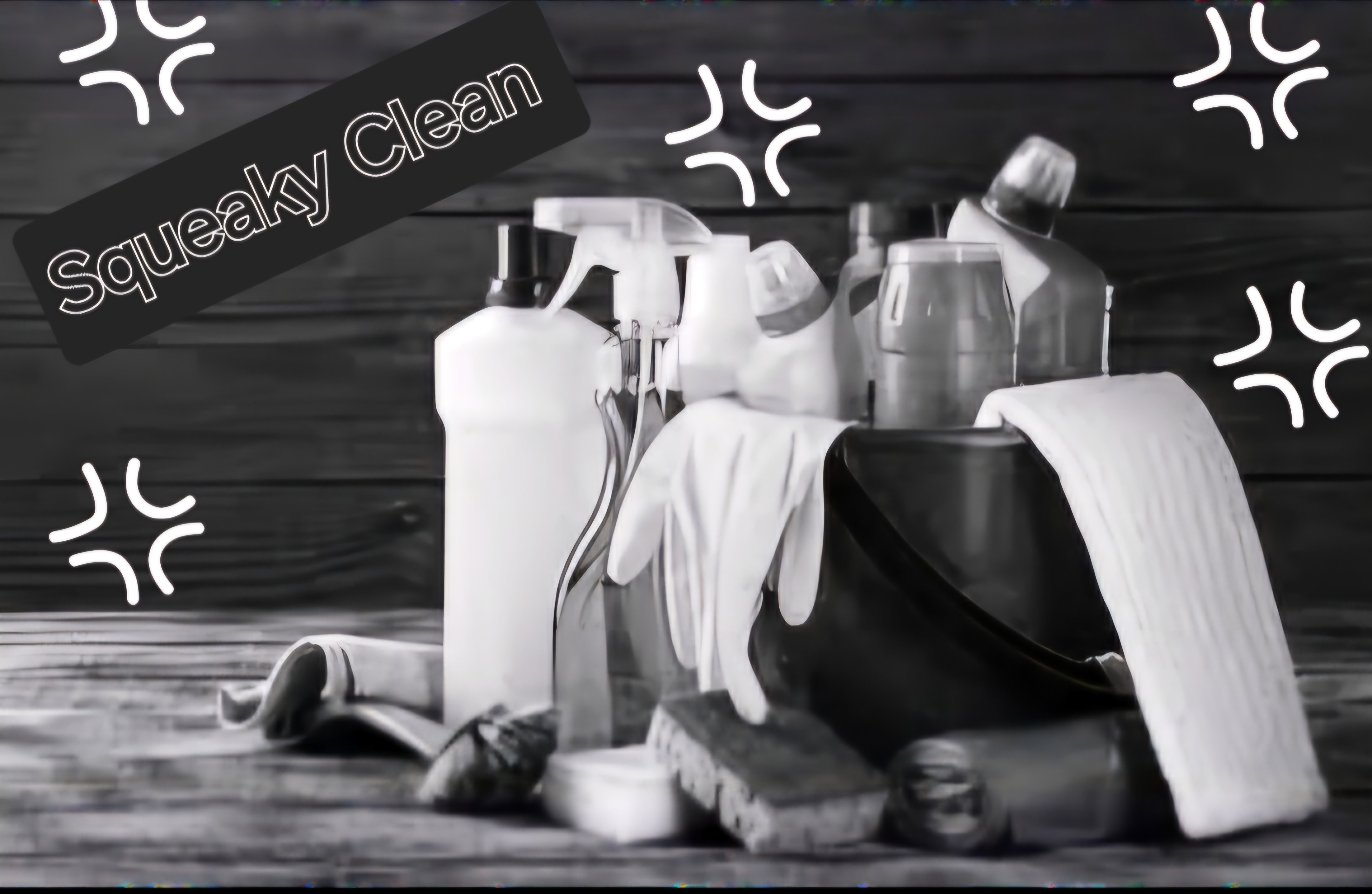Squeaky Clean logo