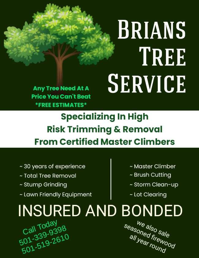 Avatar for BRIANS TREE SERVICE