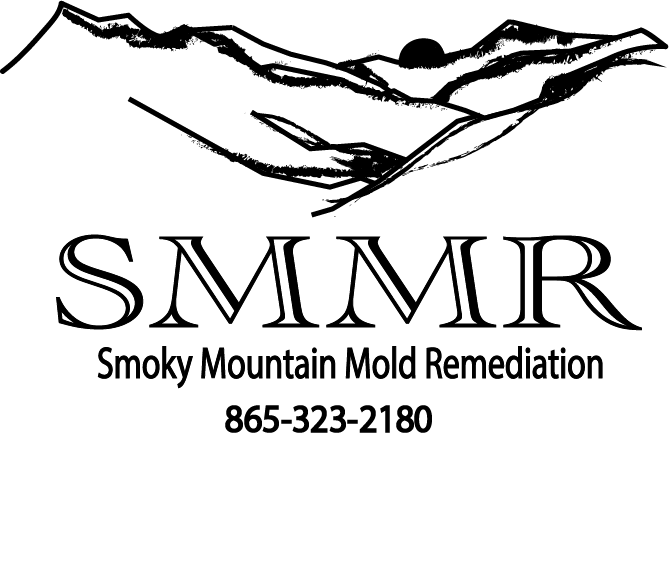 smoky mountain mold remediation llc logo
