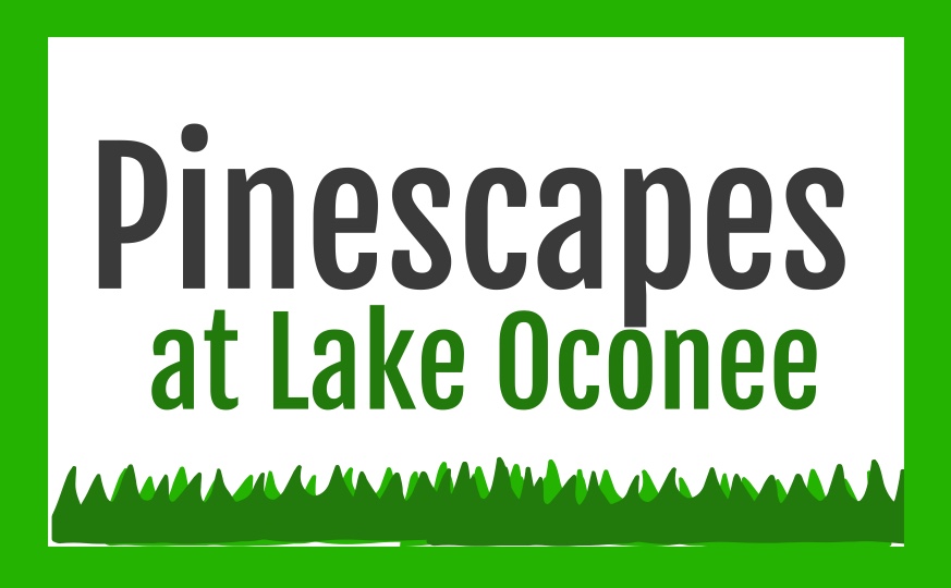 Avatar for Pinescapes at Lake Oconee