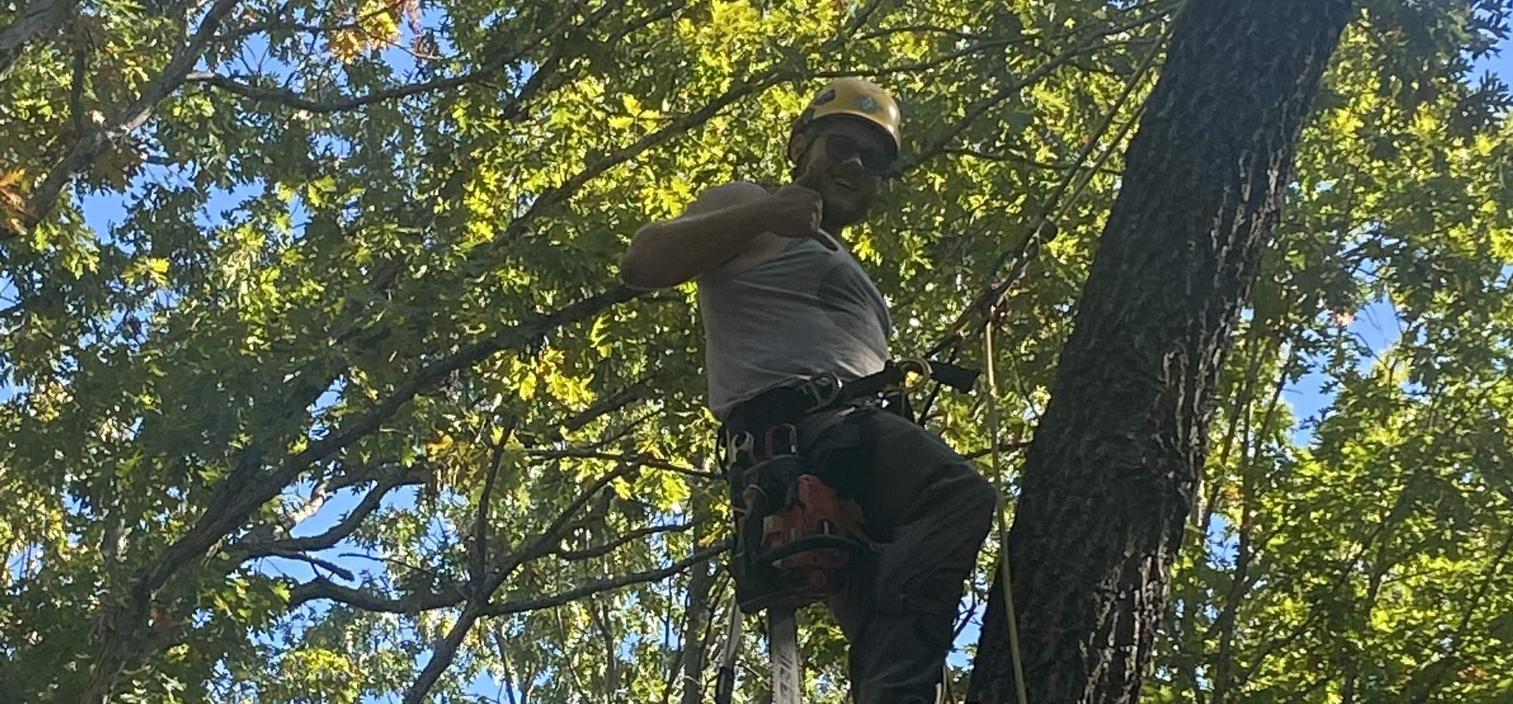 Avatar for J & S Tree Service