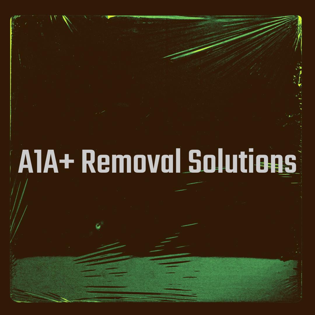 Avatar for Shaun Flatt