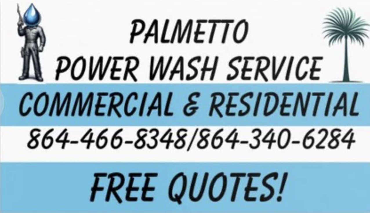 Palmetto power wash services logo
