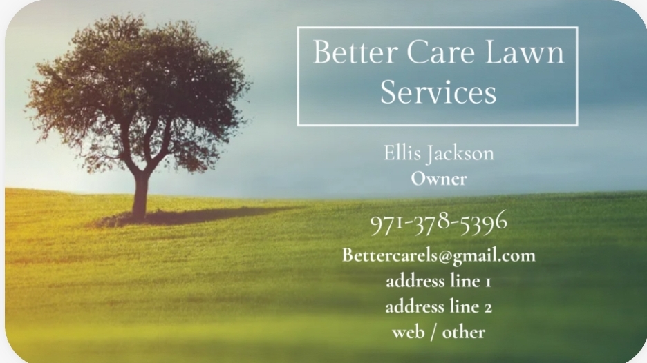 Avatar for Better Care Lawn Service