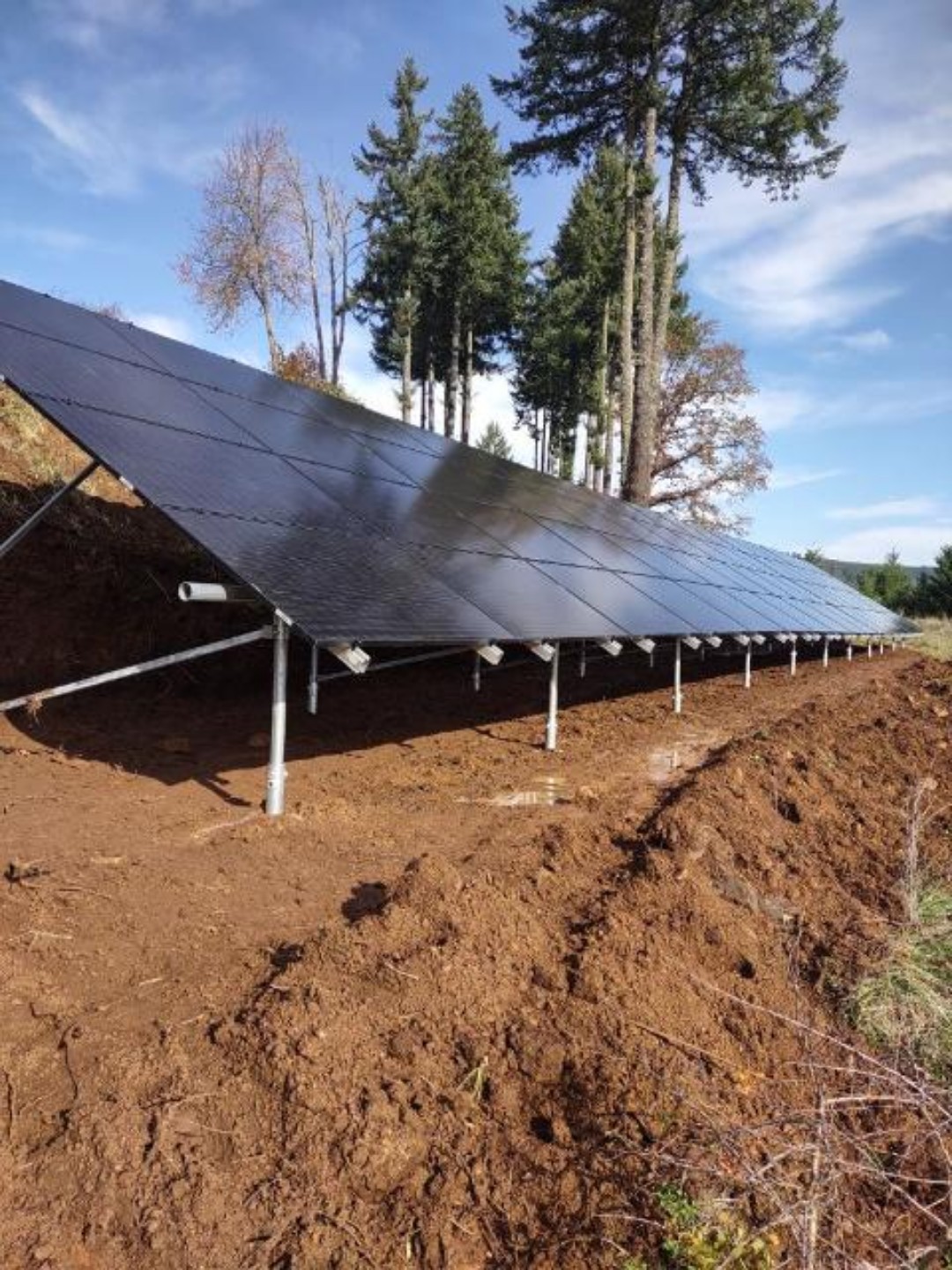 Whitebark Solar logo