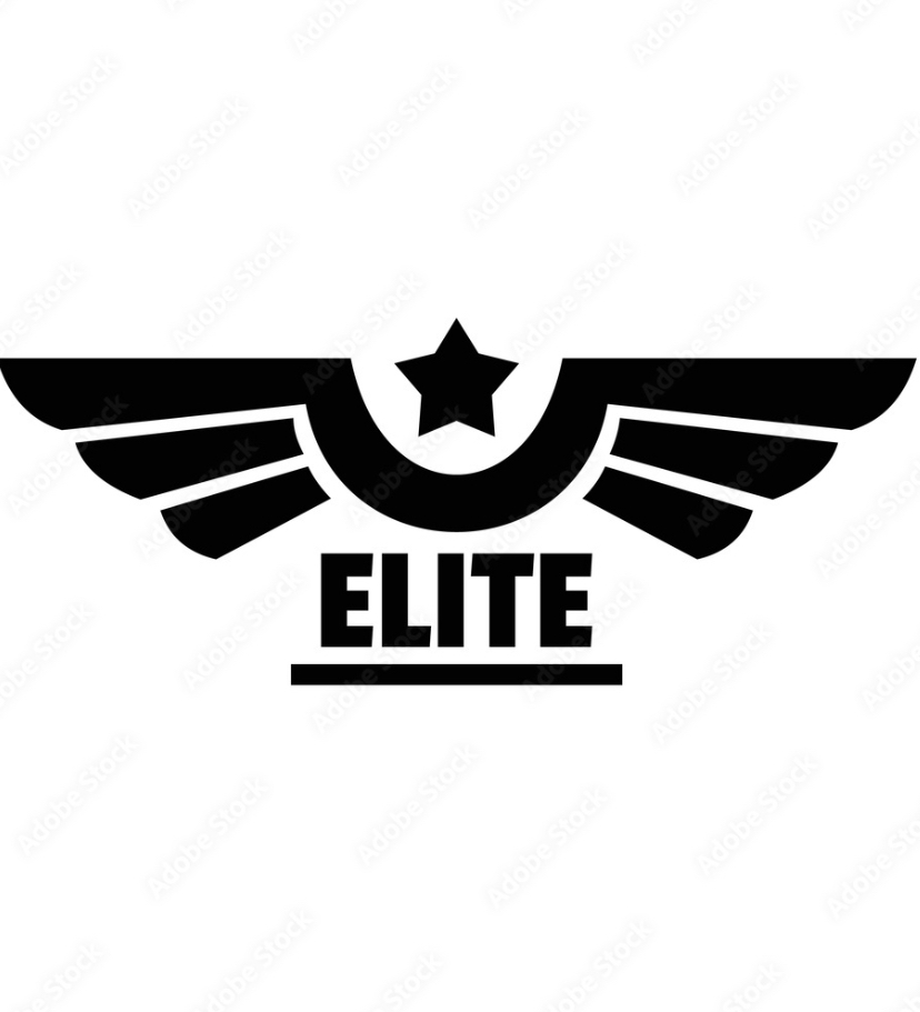 Elite services logo
