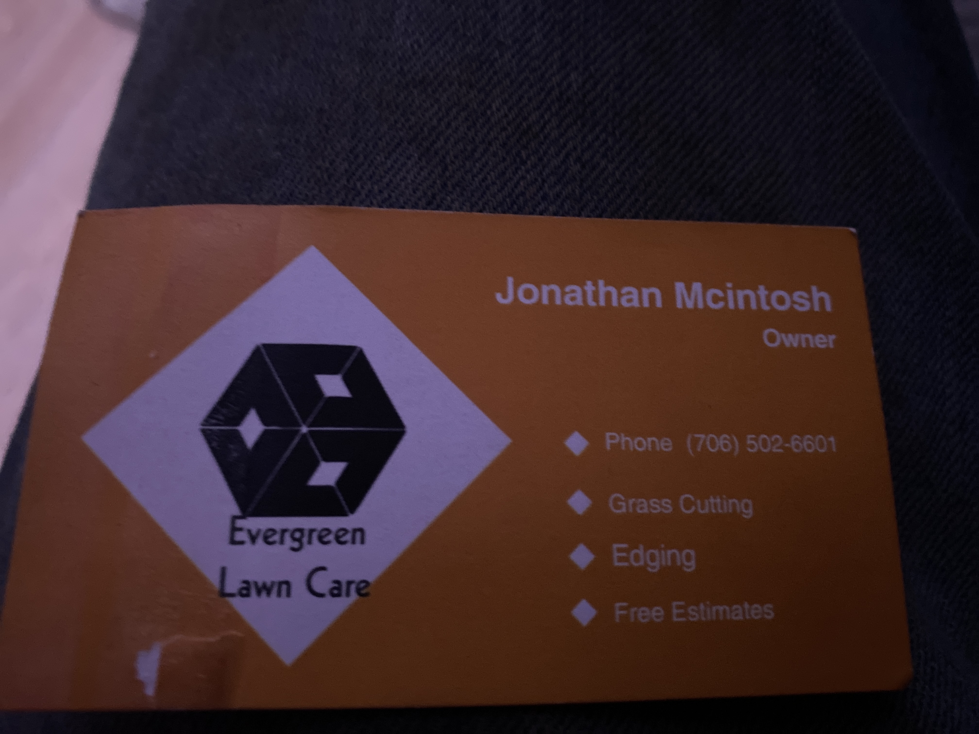 Avatar for Evergreen lawn care