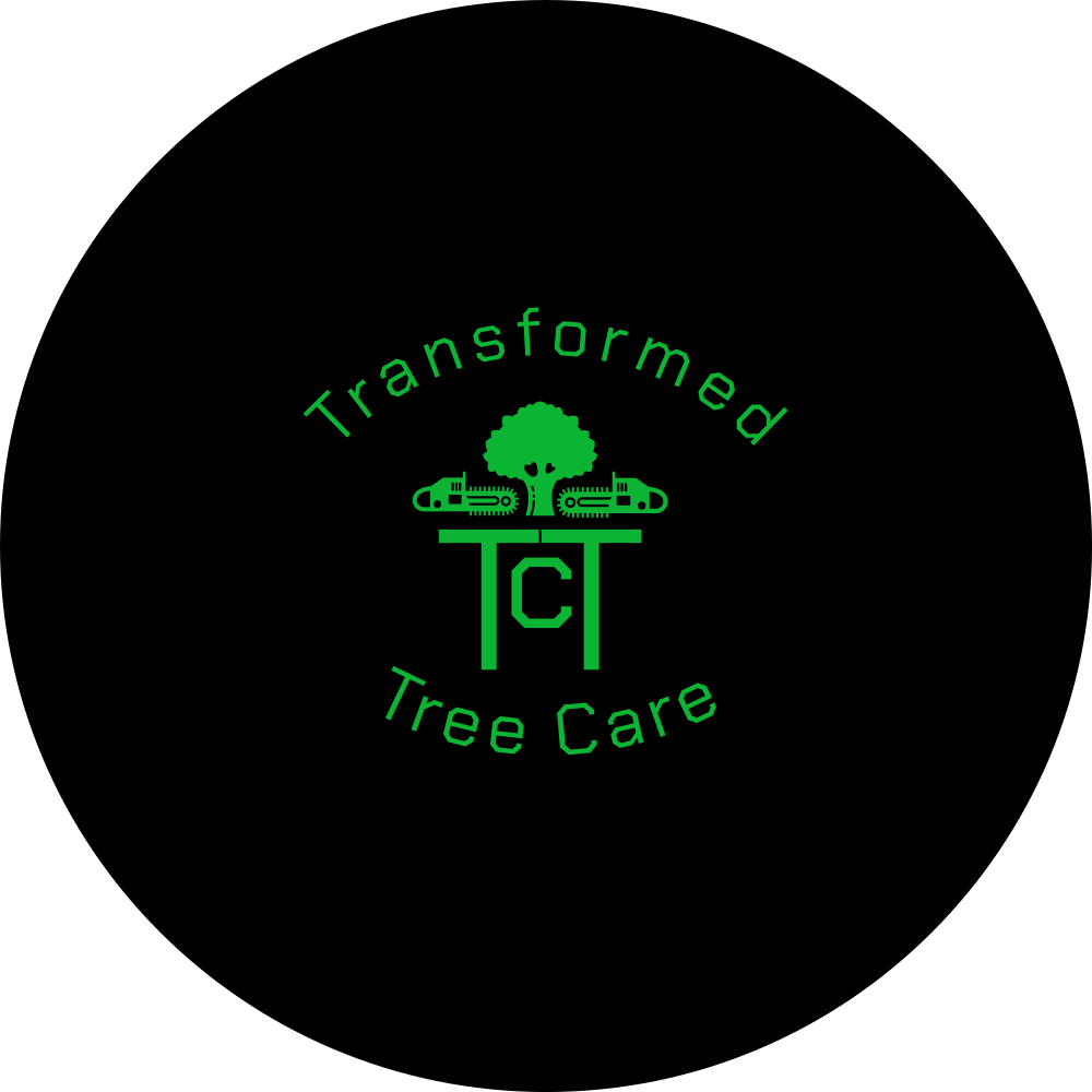 Avatar for Transformed Tree Care  - has ENROLLED