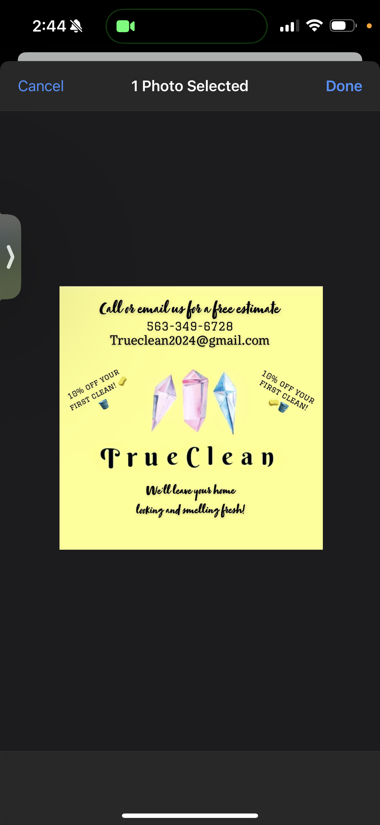 True Clean LLC logo