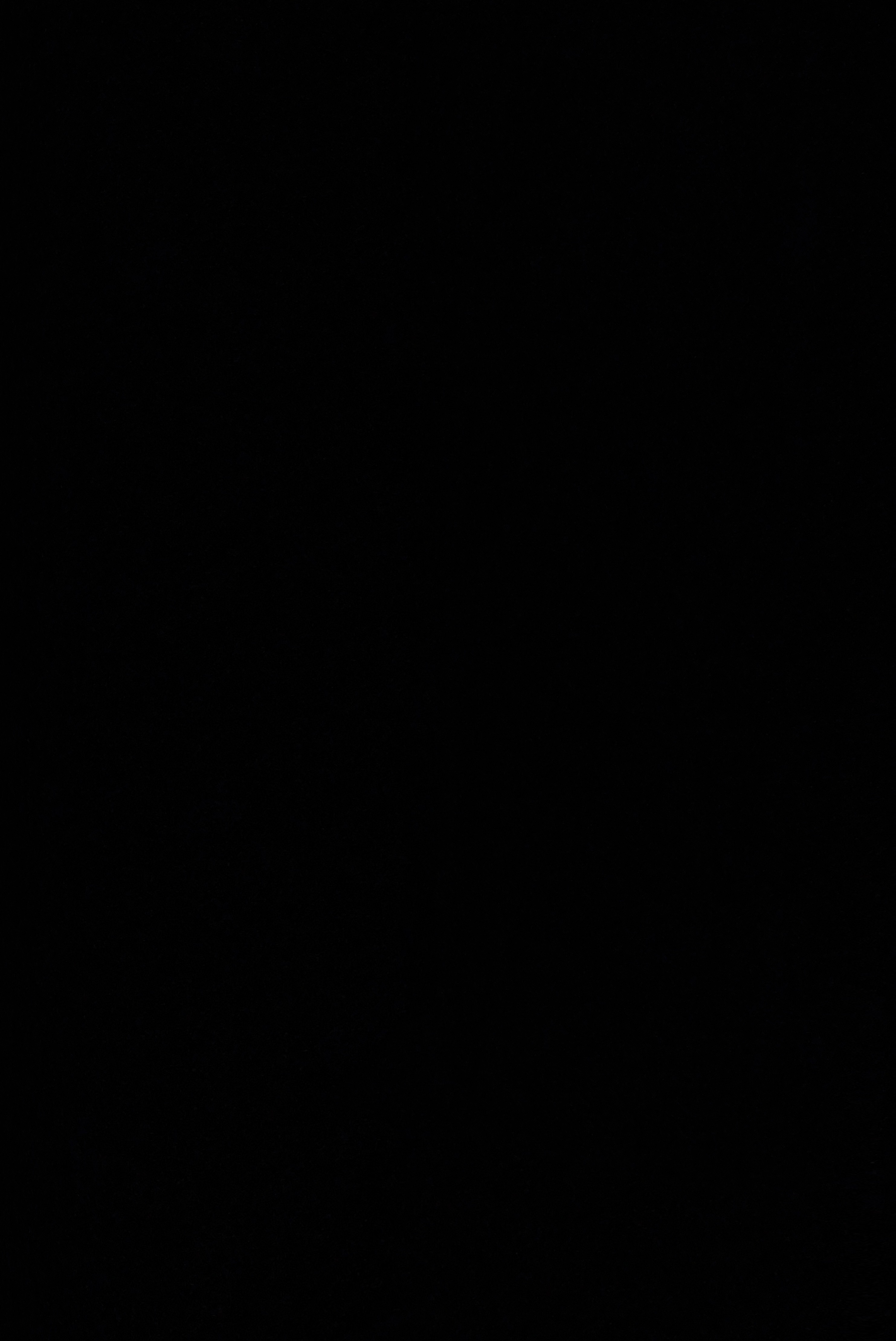 Ppf Windows logo