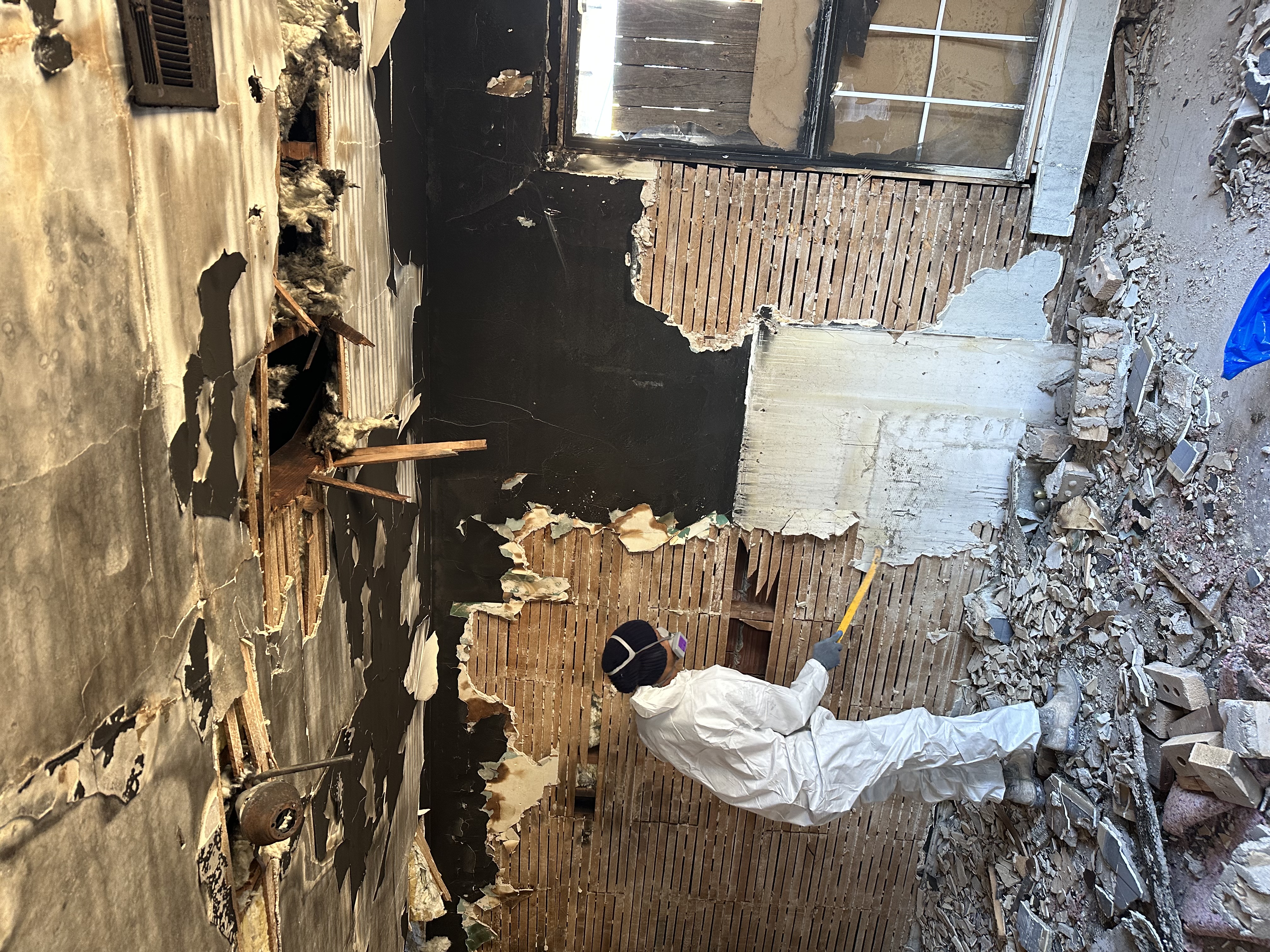 Avatar for Jose Vargas